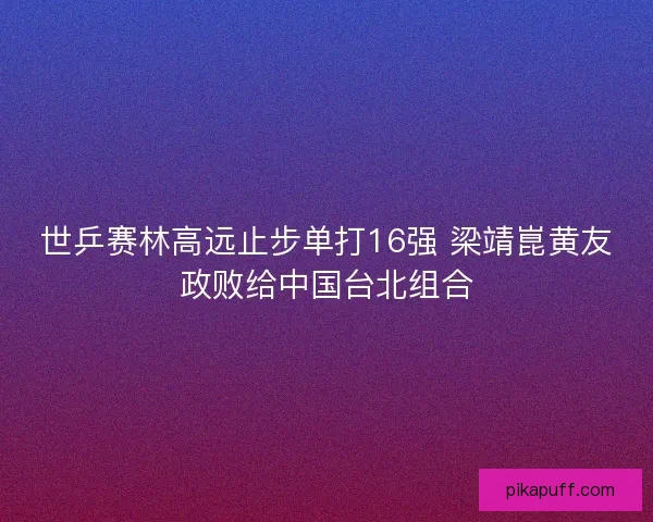 世乒赛林高远止步单打16强 梁靖崑黄友政败给中国台北组合