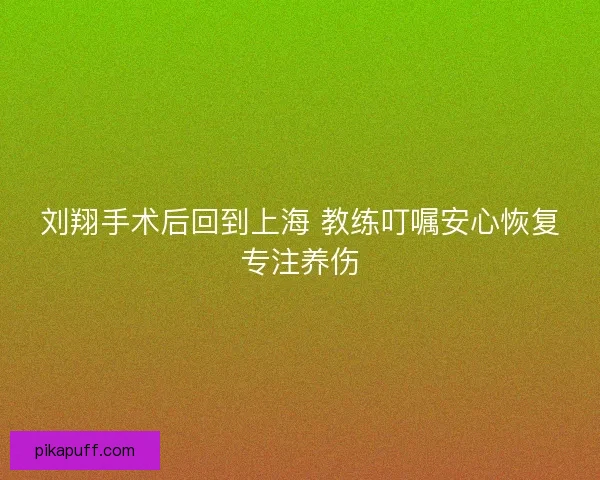刘翔手术后回到上海 教练叮嘱安心恢复专注养伤